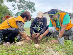 लायन्स क्लब एरिया २ को संयुक्त वृक्षारोपण  